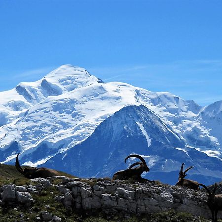 Vintage Chic -Central, Wifi, Mountain View Les Carroz d'Araches Esterno foto