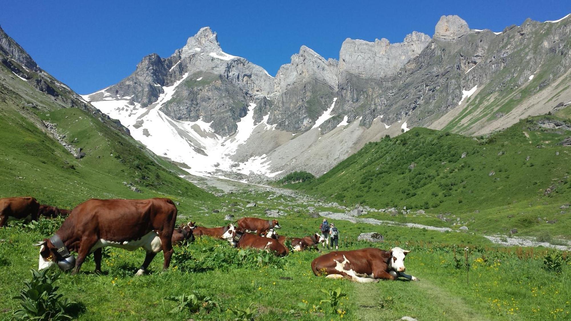 Vintage Chic -Central, Wifi, Mountain View Les Carroz d'Araches Esterno foto